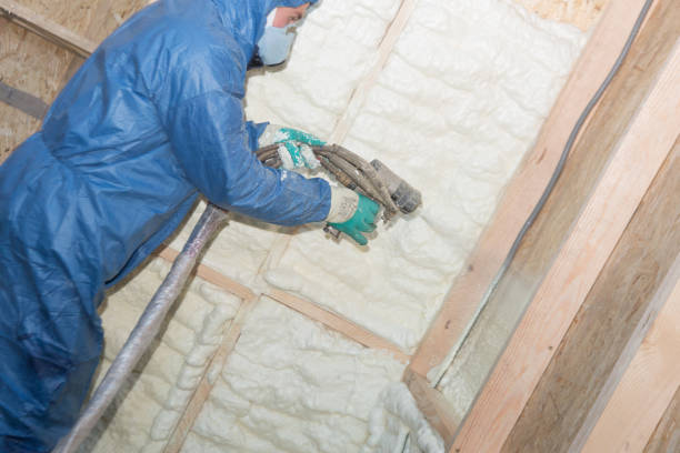 Professional Insulation Installation & Removal in Forreston, IL